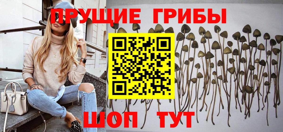 Галлюциногенные грибы MAGIC MUSHROOMS Бердск