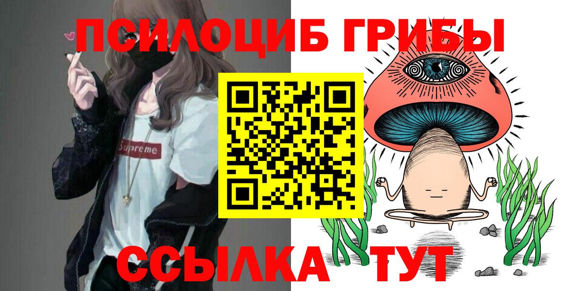 Псилоцибиновые грибы мицелий  Вход с VPN  Бердск  Галлюциногенные грибы мицелий 